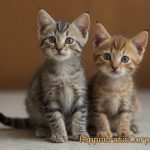 Cat Study by Dr. Francis Pottenger - Unveiling the Perils of Processed Diets Cat Study by Dr. Francis Pottenger - Unveiling the Perils of Processed Diets