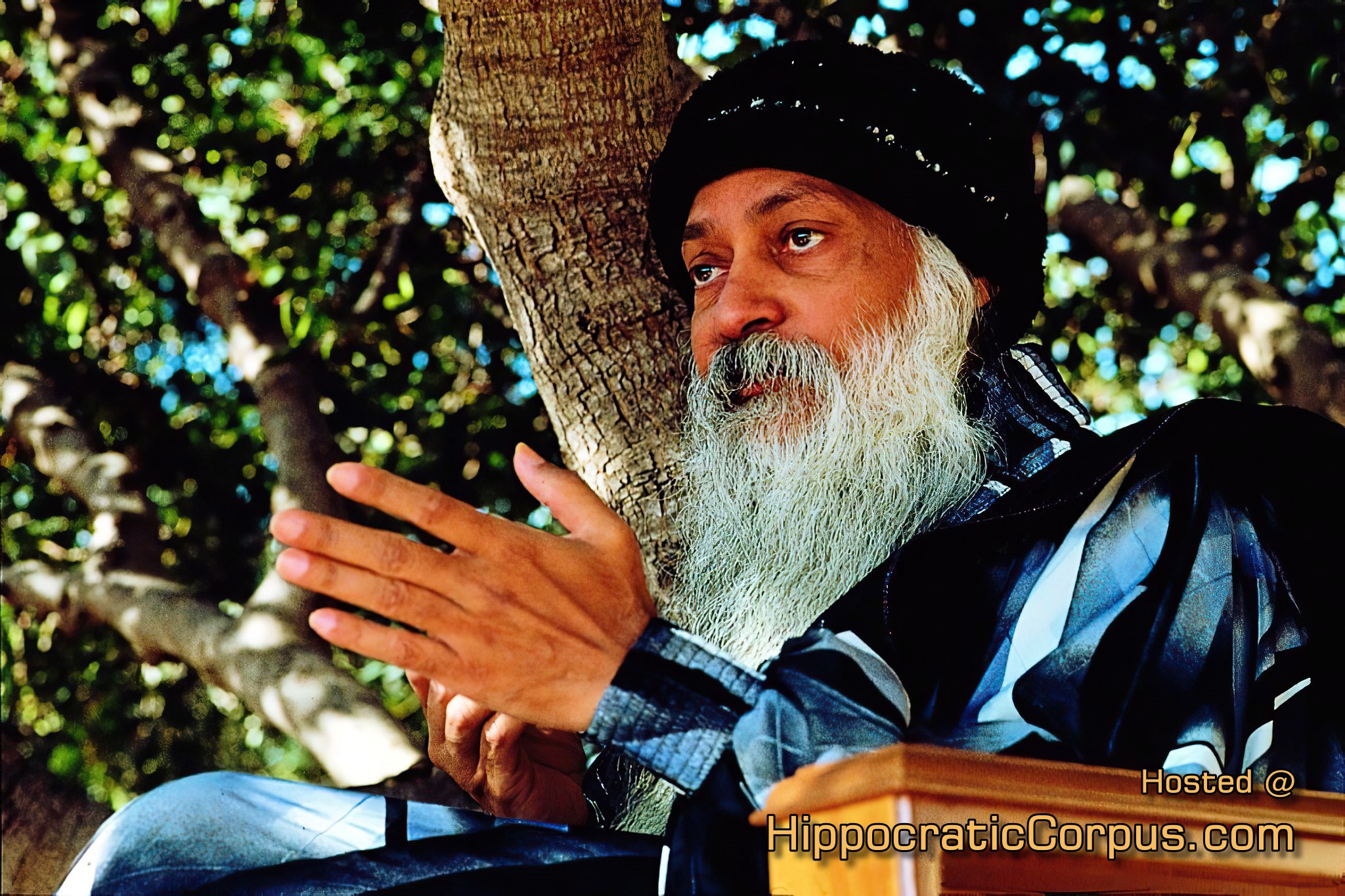 Osho: Exploring the Life and Teachings of an Indian Mystic Osho, Also Known As Bhagwan Shree Rajneesh