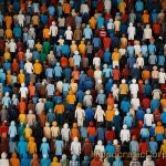 The Crucial Role of Social Ties in Enhancing Resilience and Longevity The Crucial Role of Social Ties in Enhancing Resilience and Longevity