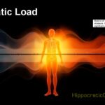 Understanding Allostatic Load - The Hidden Burden of Chronic Stress